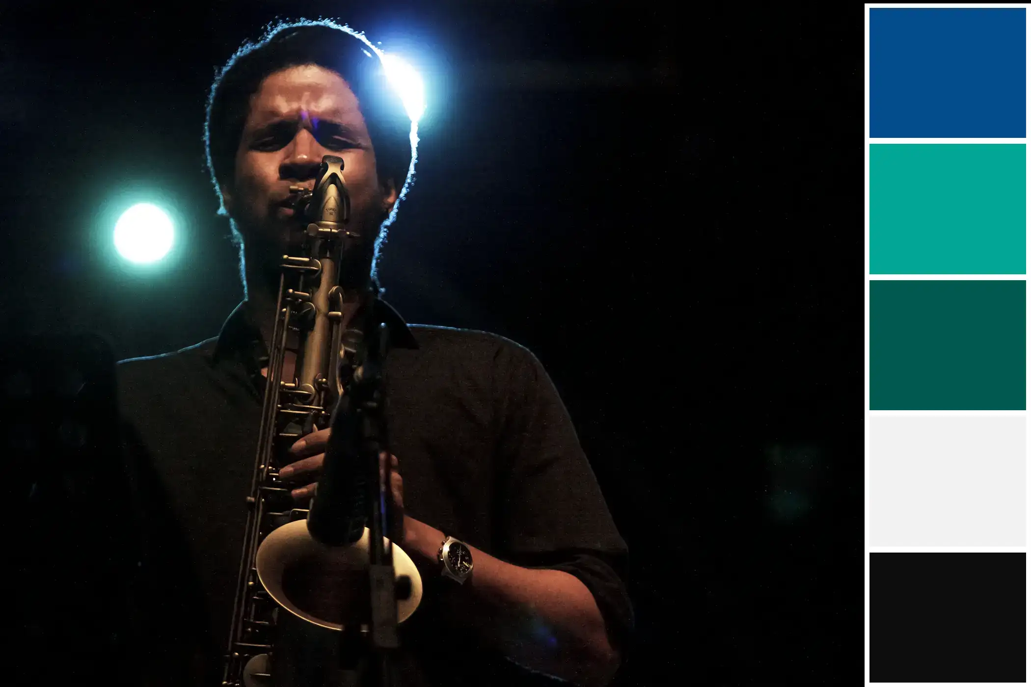 Ejemplo de gama de colores extraída de una imagen.